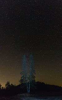 Silhouette trees against star field at night