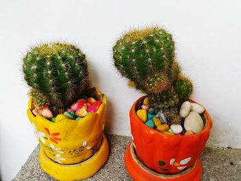 High angle view of potted plants on table