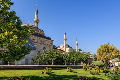  view of mosque among trees