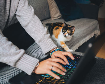 Cat lying on sofa at home