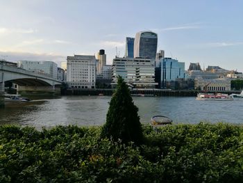 Bridge over river in city against sky