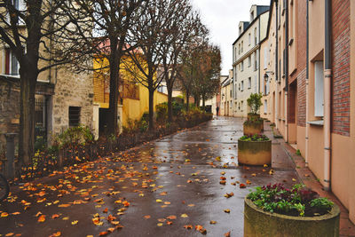 Wet street amidst buildings in city