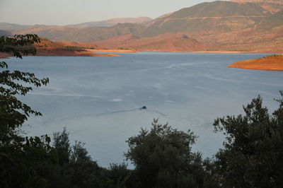 High angle view of trees by sea against sky