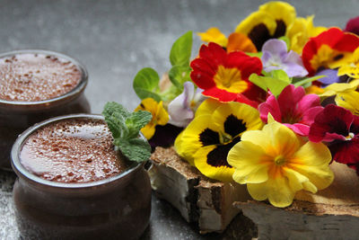 Close-up of potted plant on table