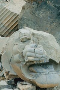 Close-up of statue on rock