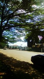 Road by trees in city against sky