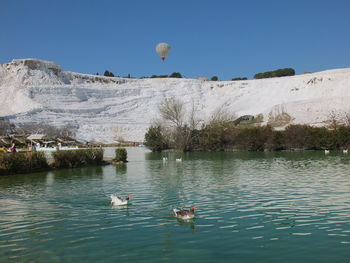 Birds flying over lake