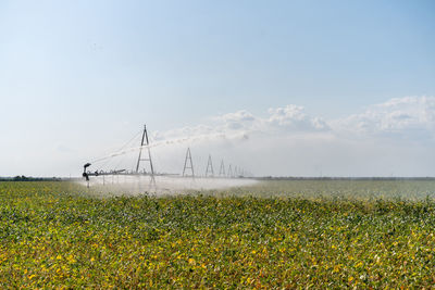 Scenic view of grassy field against sky