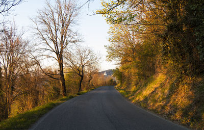 Road amidst trees against sky during autumn