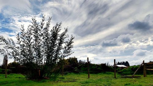 Scenic view of grassy field against cloudy sky