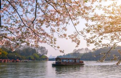 Scenic view of river by silhouette trees against sky