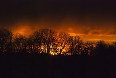 Silhouette trees against sky during sunset