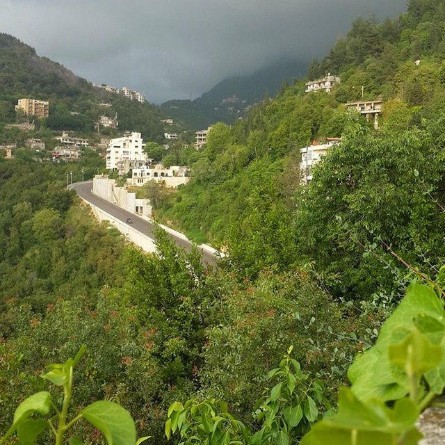 building exterior, built structure, architecture, mountain, tree, green color, house, sky, growth, high angle view, plant, lush foliage, residential structure, residential building, nature, beauty in nature, landscape, residential district, town, outdoors