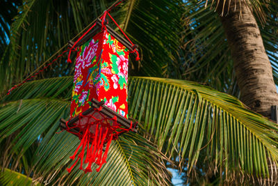 Low angle view of palm tree