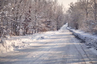 Road amidst bare trees during winter