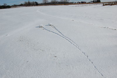 High angle view of snow on field