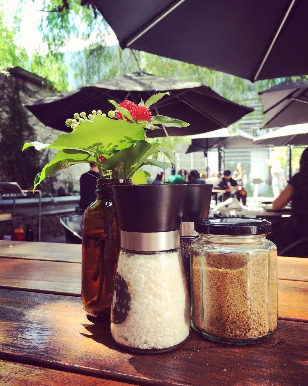 food and drink, table, freshness, indoors, drink, food, drinking glass, glass - material, potted plant, restaurant, refreshment, healthy eating, incidental people, close-up, focus on foreground, day, sunlight, still life, vase, transparent