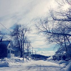 Snow covered trees against sky