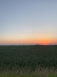 Scenic view of field against clear sky during sunset