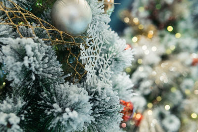 Close-up of christmas tree in snow