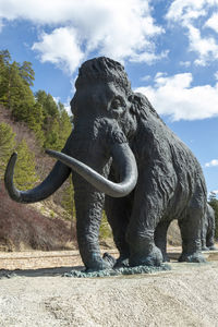 View of elephant on field against sky