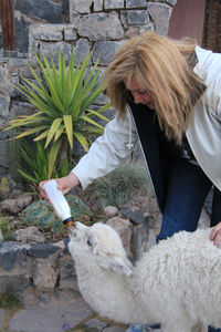 Feeding a baby llama