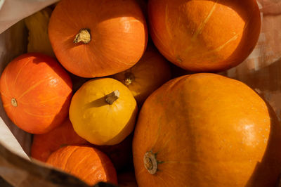 High angle view of pumpkins