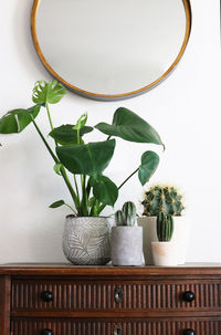 Potted plant on table at home