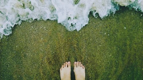 Low section of person standing on beach