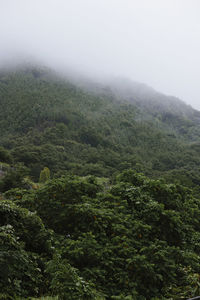 Scenic view of mountains against cloudy sky