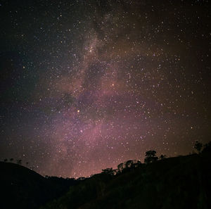 Low angle view of star field against sky at night