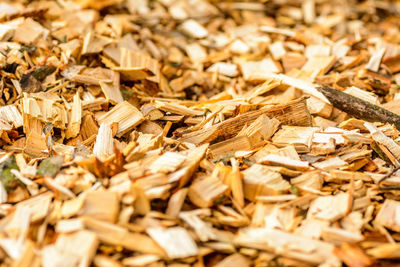 Close up of wood shavings