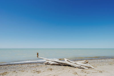 Scenic view of beach against clear blue sky