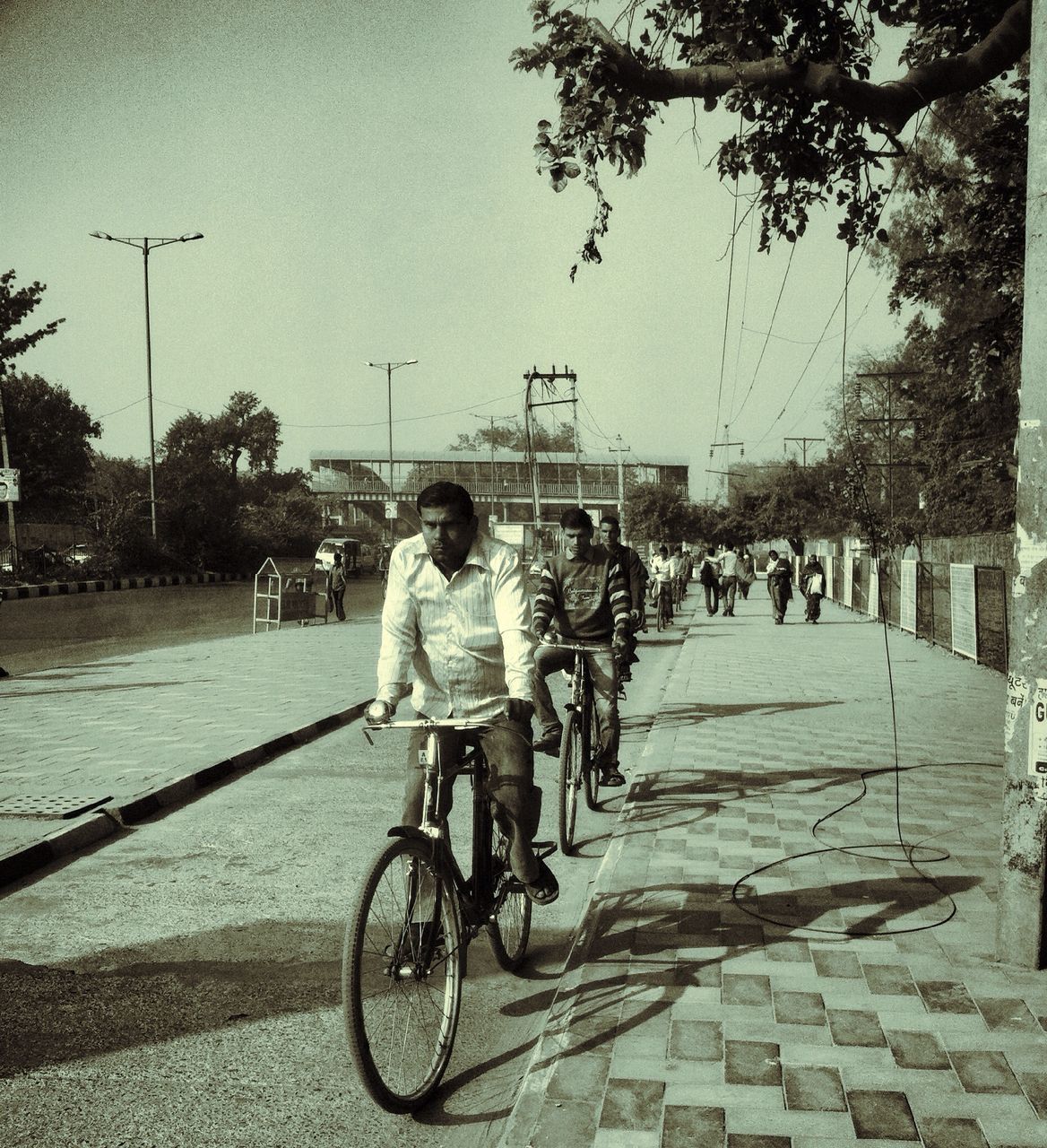 bicycle, full length, lifestyles, leisure activity, transportation, street, tree, land vehicle, mode of transport, riding, childhood, casual clothing, road, boys, city, men, cycling, girls