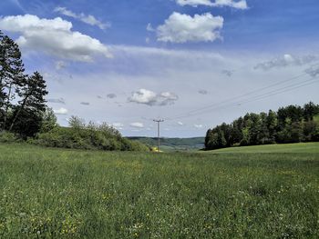 Scenic view of field against sky