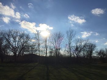 Trees against sky during sunset