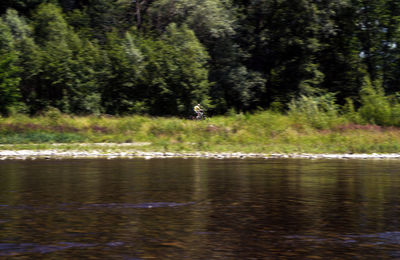 View of birds in lake