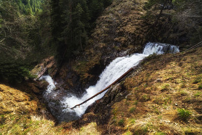 Scenic view of waterfall in forest