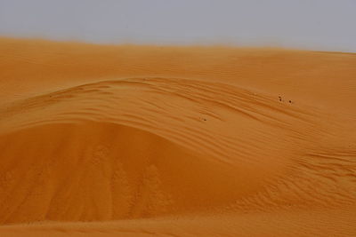 Scenic view of desert against sky