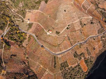 Los viñedos de la ribeira sacra