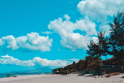 Panoramic shot of road amidst trees against blue sky