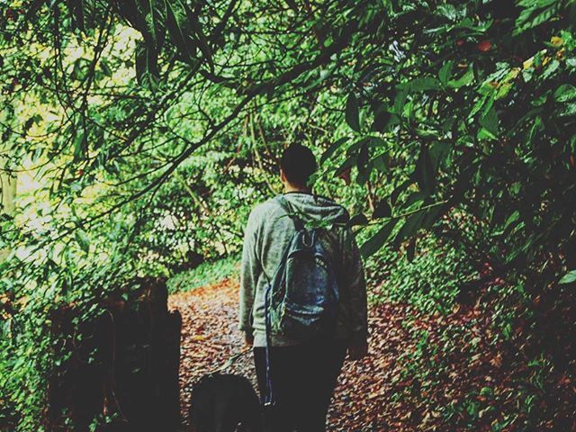 rear view, tree, lifestyles, leisure activity, men, standing, casual clothing, growth, branch, nature, person, full length, plant, three quarter length, walking, tranquility, green color, day