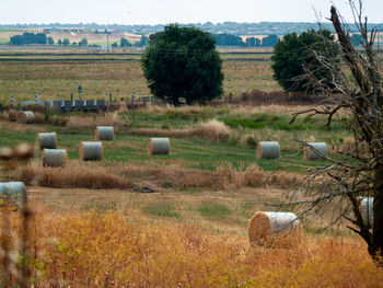 Hay bales on field against sky