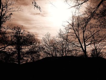 Silhouette of bare trees at sunset