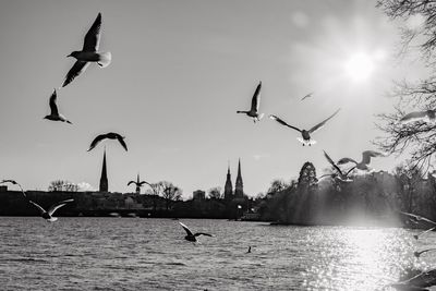 Seagulls flying over lake against sky