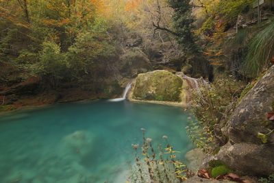 Scenic view of waterfall in forest