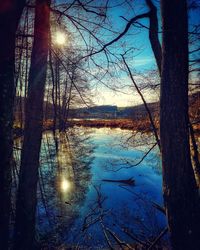 Scenic view of lake in forest against bright sun