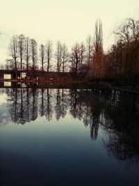 Reflection of trees in lake against sky