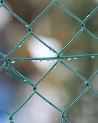 Close-up of chainlink fence