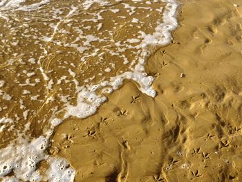 Waves on shore at beach